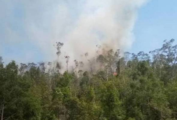 41626988068 BukitHarimau