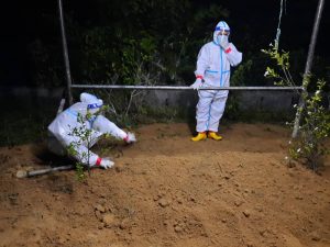 691e74bf 2cb2 479c 946a 8285ec1dd8df