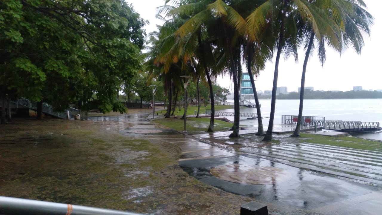 WhatsApp Image 2021 12 31 at 6.33.29 PM