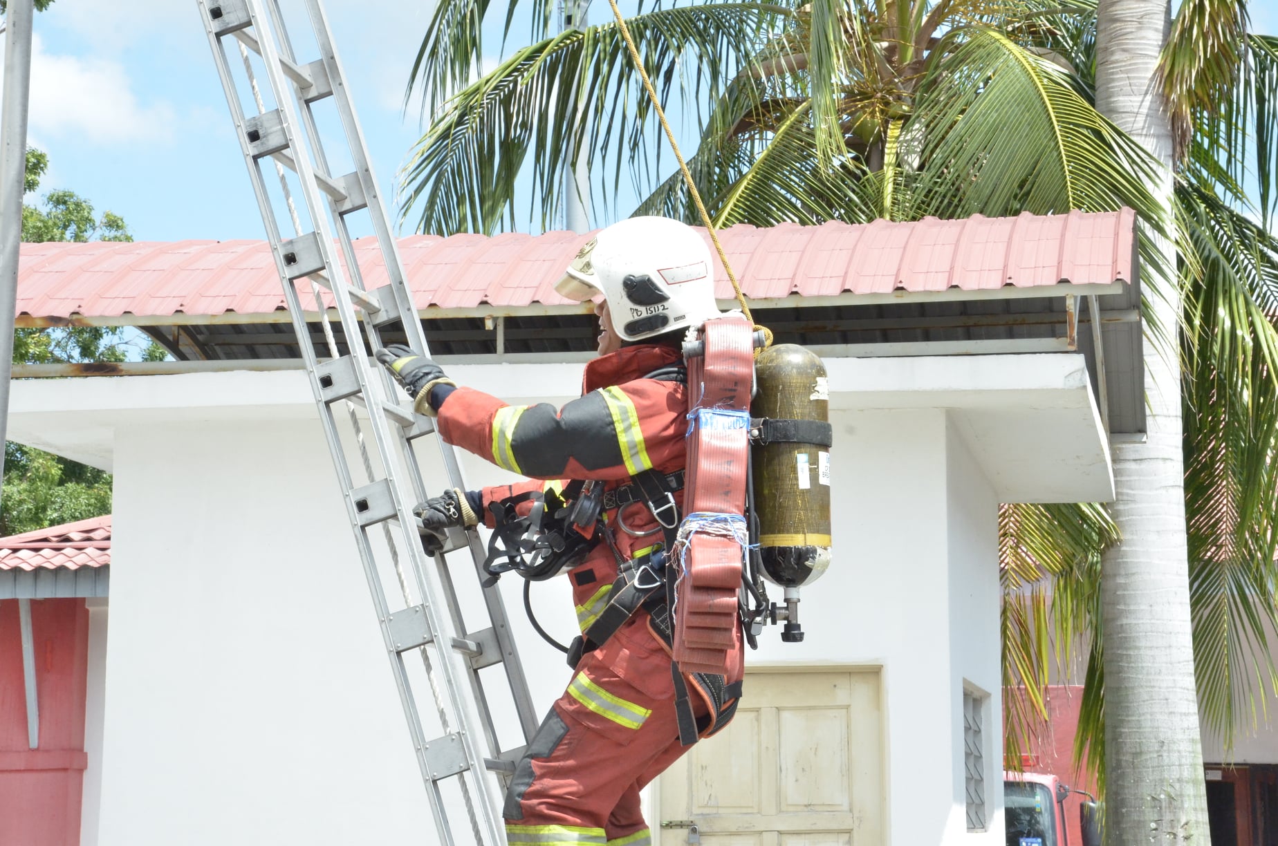 239641605 224733559686223 3355760812074322858 n 1