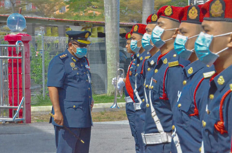 251013569 250800953746150 3577621458056091289 n