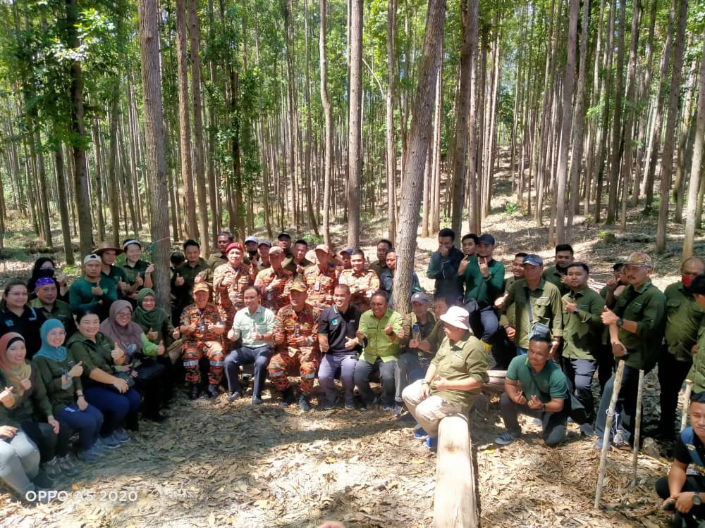 Hutan1