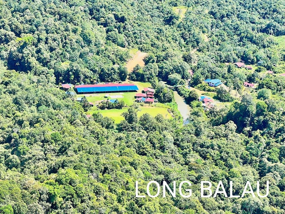 balau1