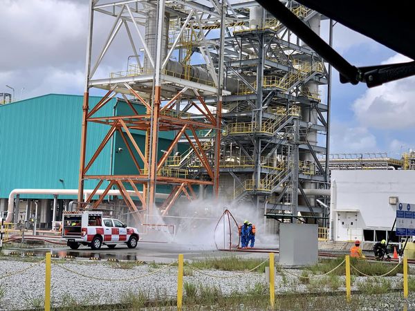 320580162 917192242982572 1524261331579142760 n