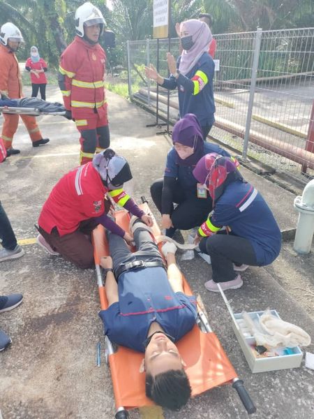 321414006 686404786267888 2951522015972535871 n