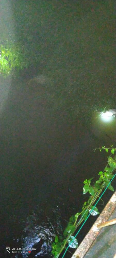 dca3c466 722b 4451 8ae1 6be9ee96046f