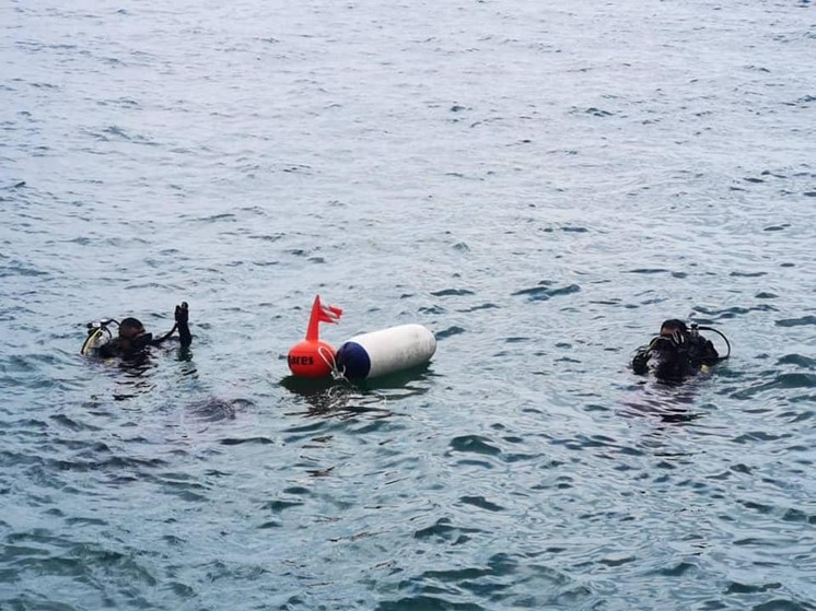 232353461459458299 611625635972742137 n