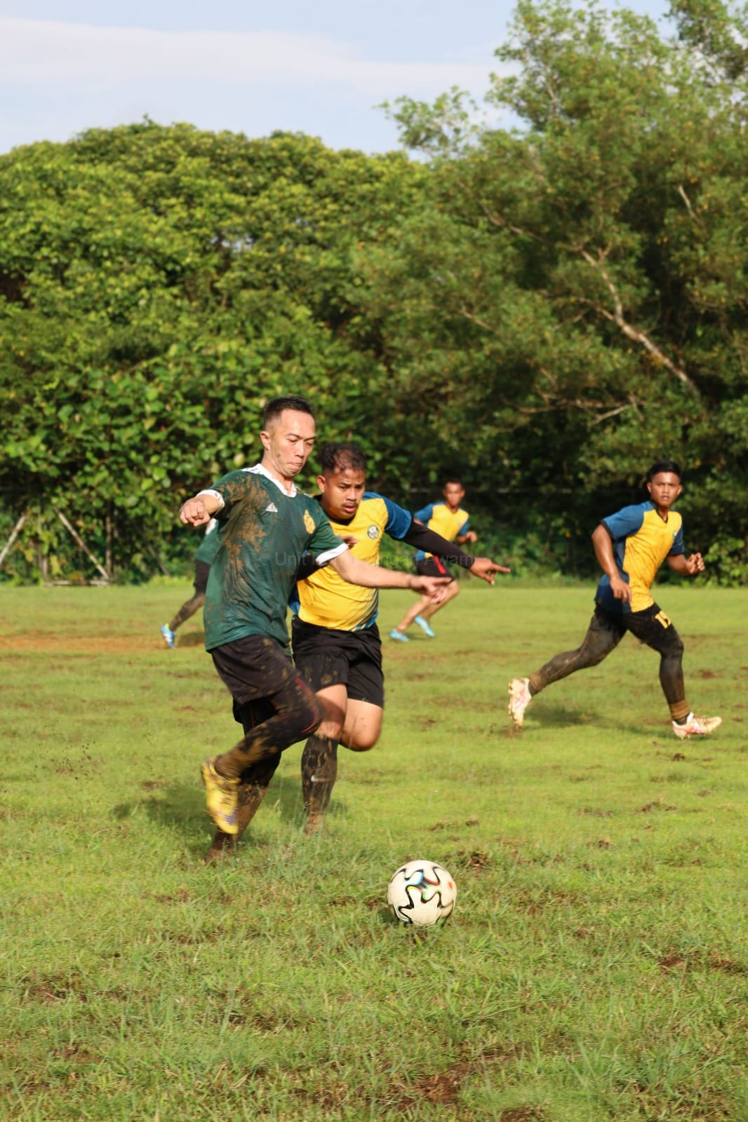 bola5
