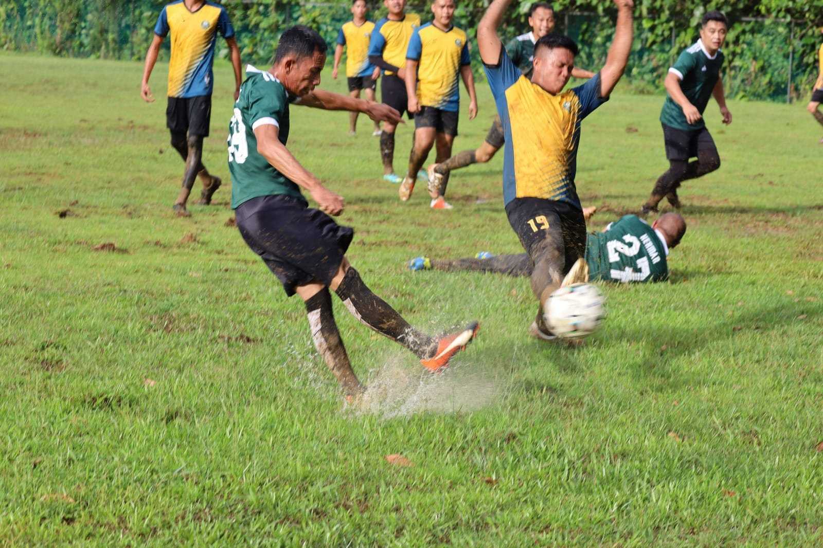 bola6