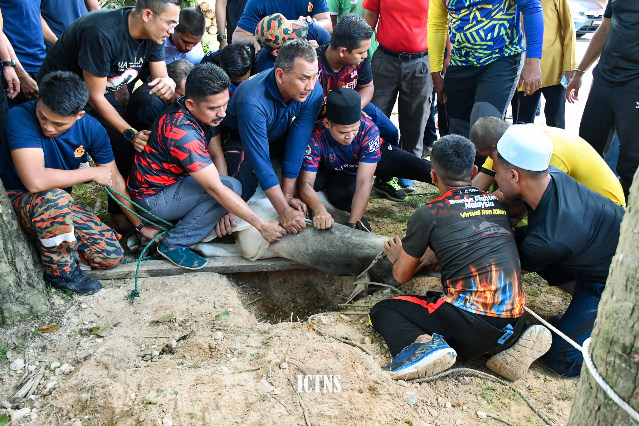 356826422 652210060271902 8658474035018428031 n