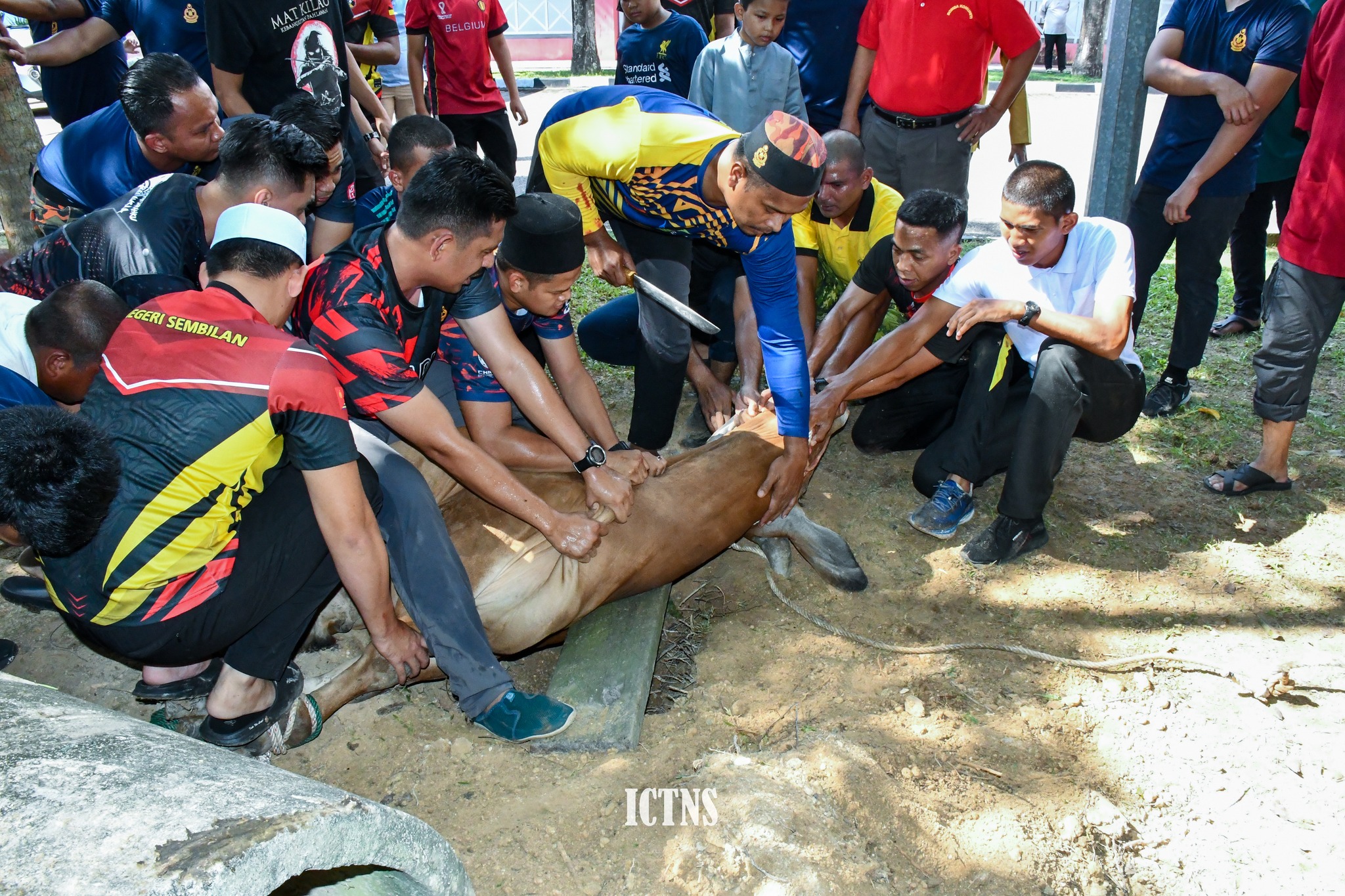 356864723 652210470271861 3667310368003917559 n