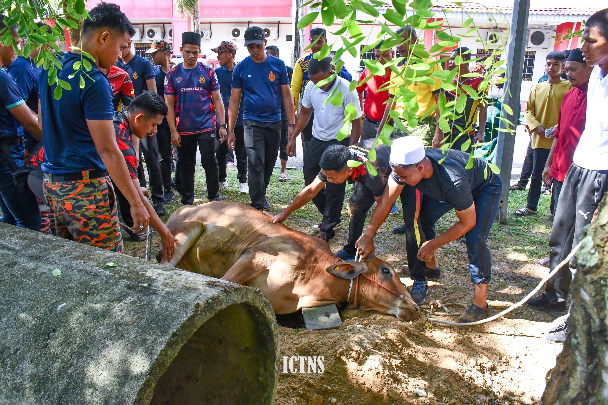 356874933 652204710272437 4658434194948787528 n