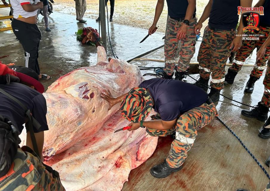 357067127 667566482082017 5402054724193112658 n