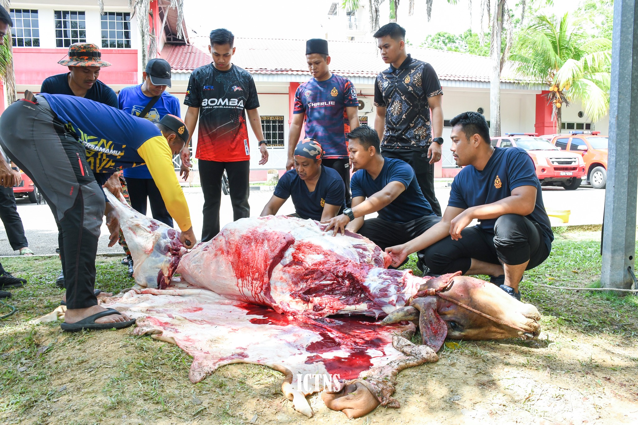 357108768 652204343605807 2564953107950468479 n