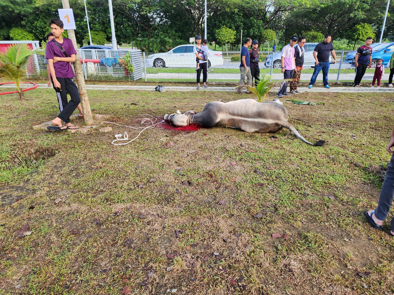 WhatsApp Image 2023 07 02 at 8.46.05 PM 1