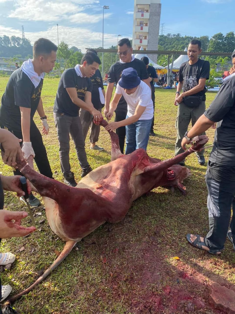 WhatsApp Image 2023 07 02 at 8.57.37 PM