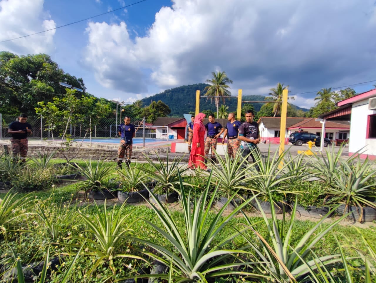 lawatkpr06
