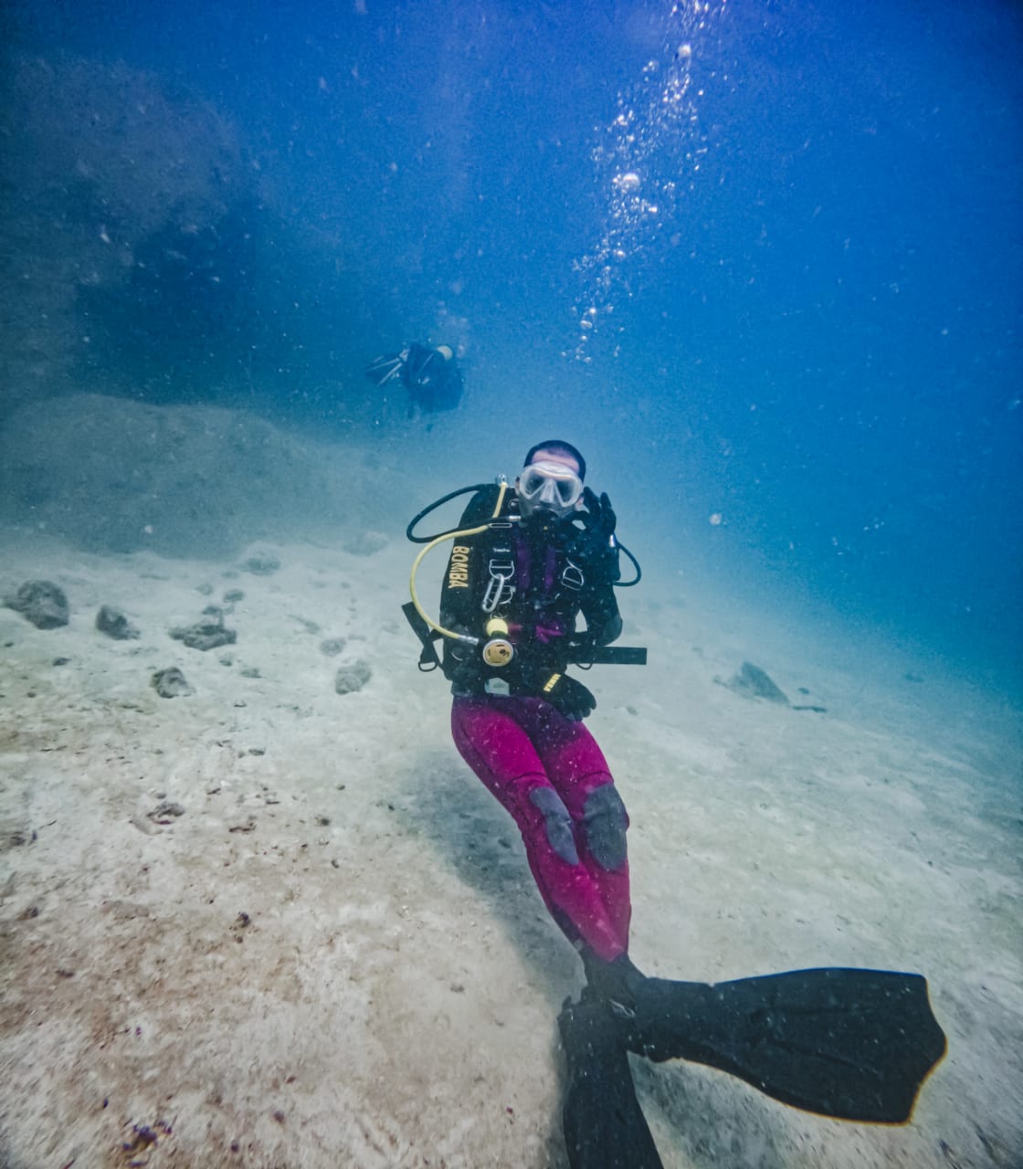 4020f16d 8777 494d bd66 0cbb60e83a87