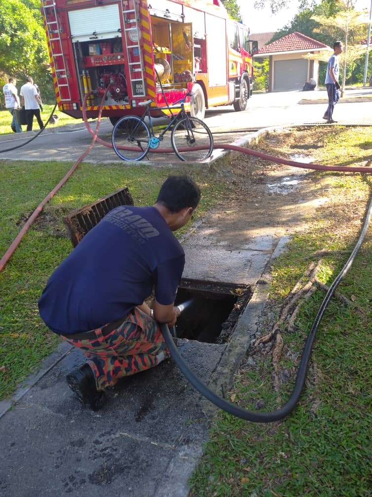 dacc4cf5 a3df 4dad 8291 3761db493e8f