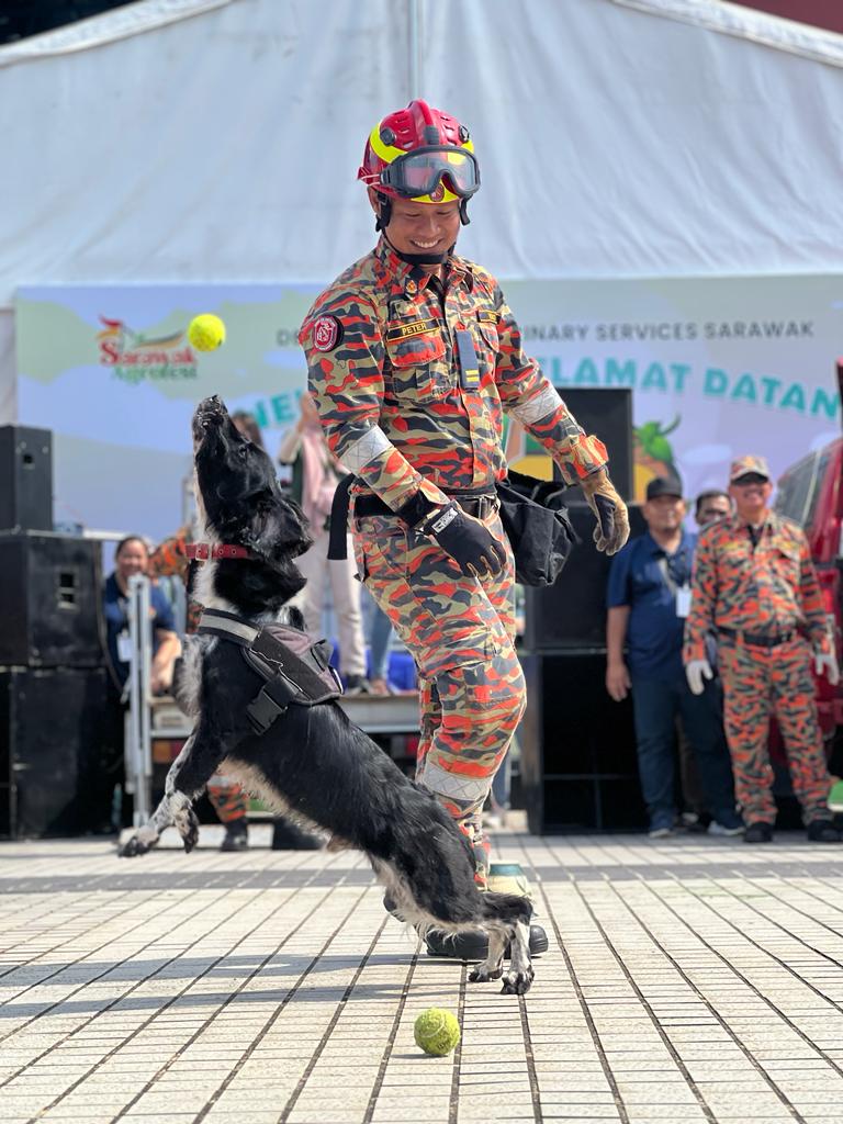 WhatsApp Image 2023 09 24 at 19.49.20