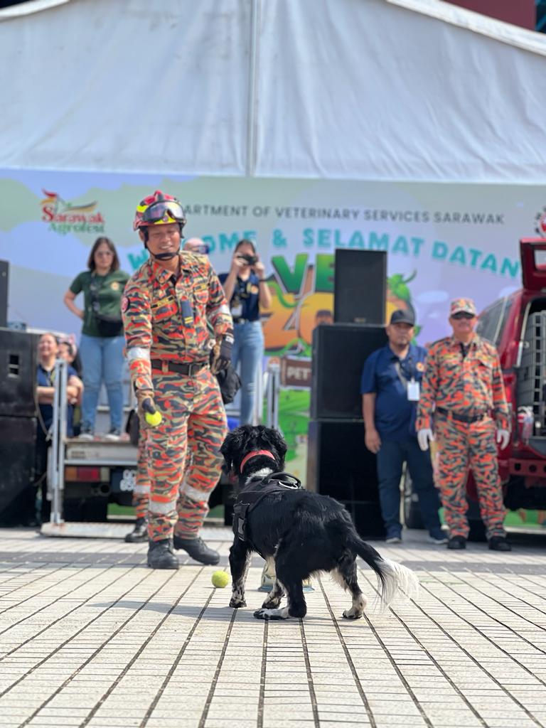 WhatsApp Image 2023 09 24 at 19.49.22