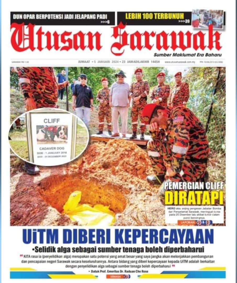 1. Pemergian Cliff Diratapi