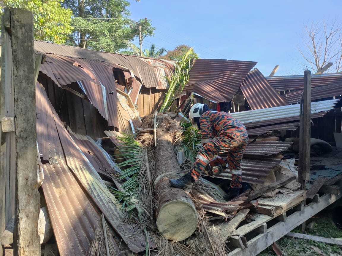 SEORANG PEREMPUAN TERSEPIT AKIBAT SEBUAH POKOK TUMBANG MENGHEMPAP RUMAH DI SABAH