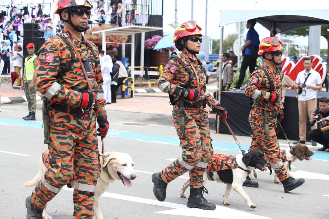 457142327 901132152053354 4902634628975200494 n