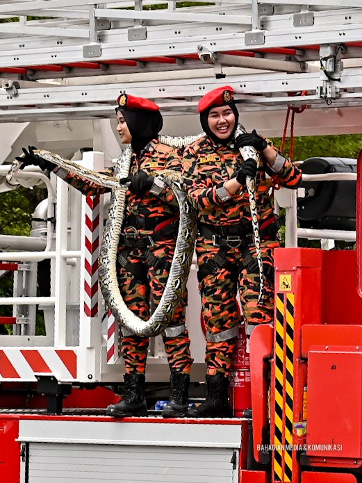 457314430 901132172053352 2085922564387574496 n