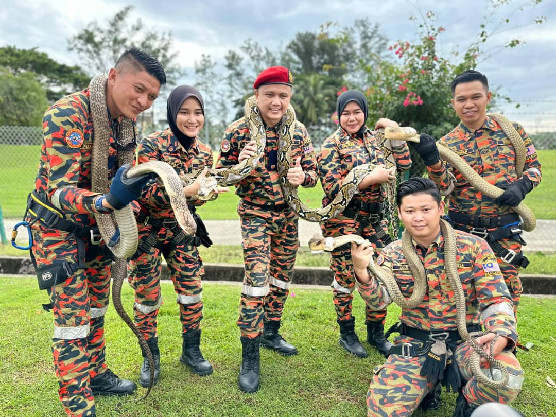 WhatsApp Image 2024 08 31 at 08.34.53