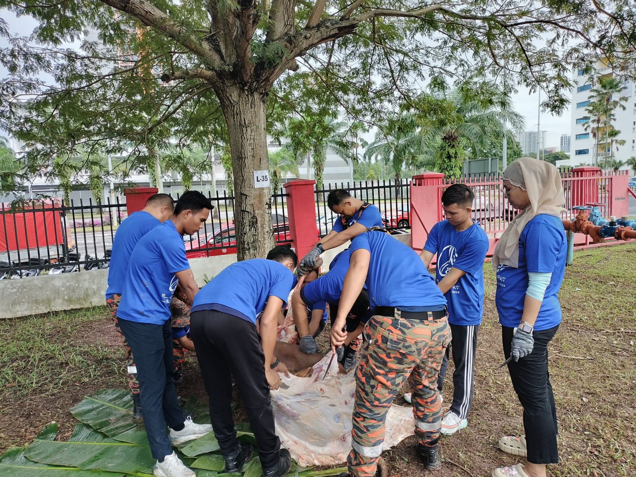 504430687 1098041395688273 2666799605177418066 n