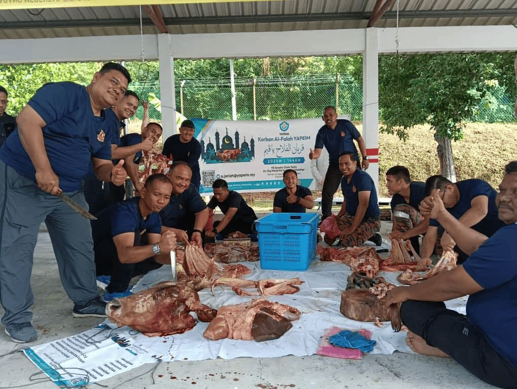 505849517 1177281424440136 825491011470455846 n