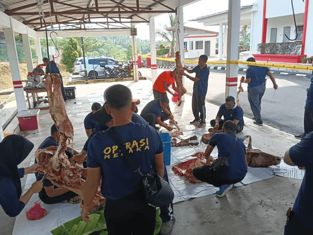 506358336 1177281524440126 8923235503232704164 n